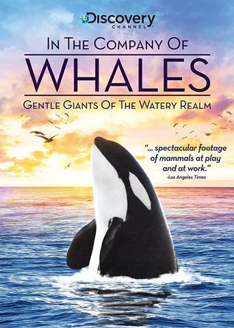 En compañía de ballenas poster