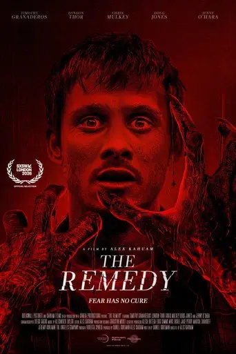 The Remedy - Poster