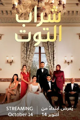 Mundos opuestos - Poster