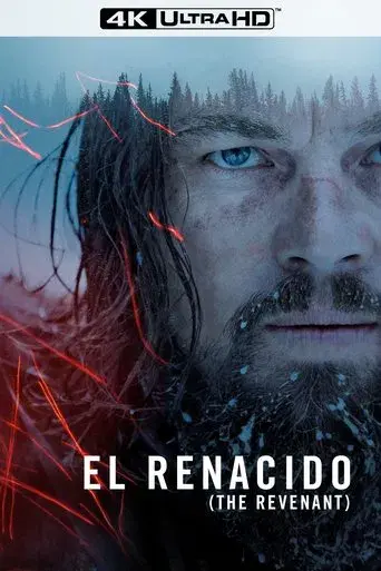 El renacido - Poster