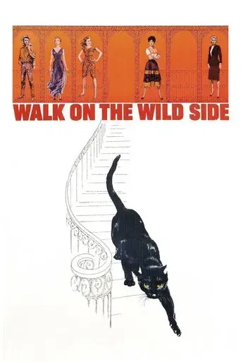 La gata negra poster