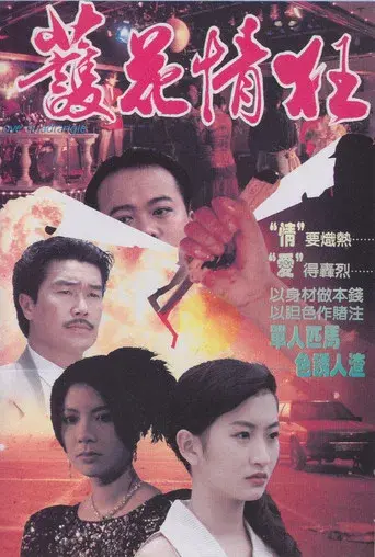 護花情狂 poster