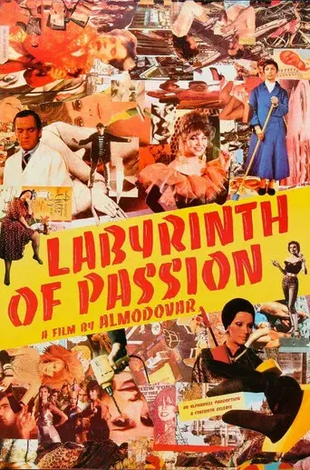 Laberinto de pasiones - Poster