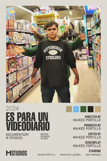 Es Para Un Videodiario - Poster