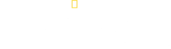 Los secretos de los pingüinos - Logo