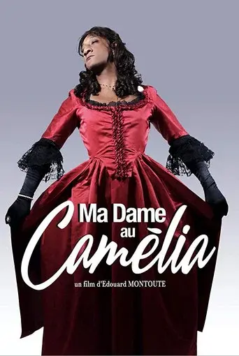 Ma dame au camélia poster