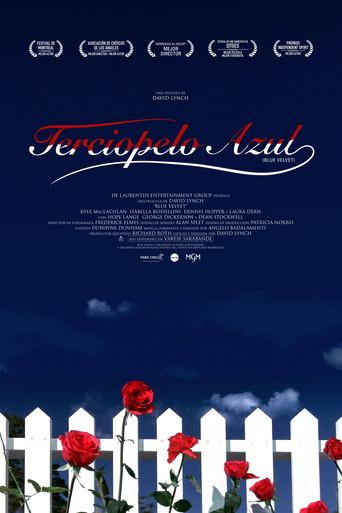 Terciopelo azul - Poster