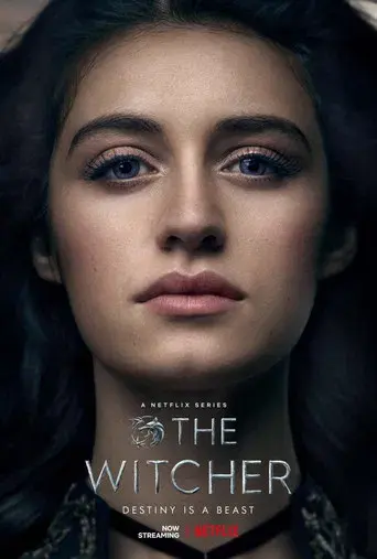 The Witcher - Poster