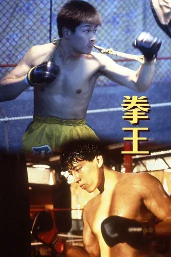 拳王 poster
