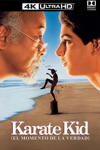 Karate Kid, el momento de la verdad - Poster