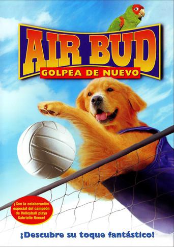 Air Bud 5: Golpea de Nuevo - Poster
