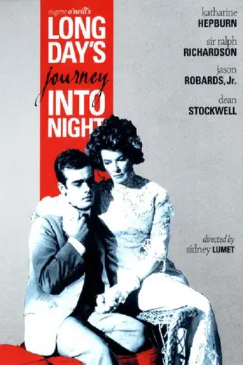 Larga jornada hacia la noche - Poster