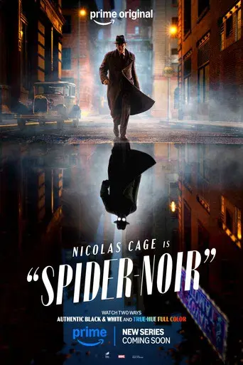 Spider-Noir - Poster