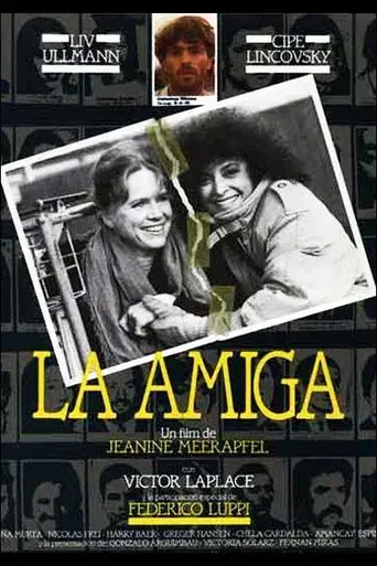La amiga poster