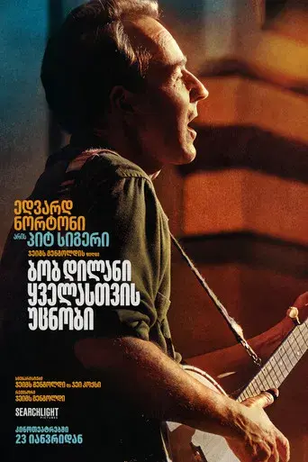 A Complete Unknown - Poster