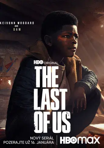 The Last of Us - Poster