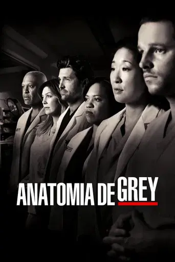 Anatomía de Grey - Poster
