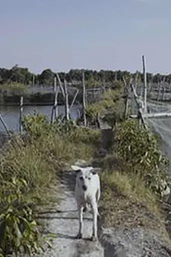 Nowhere Near - Poster