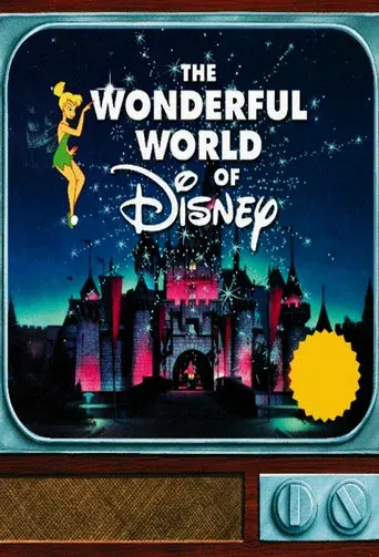 The Wonderful World of Disney - Poster