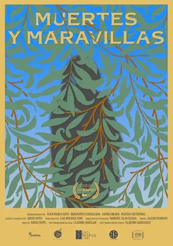 Muertes y maravillas poster
