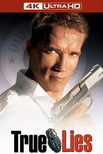 Mentiras arriesgadas - Poster