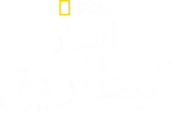 Los secretos de los pingüinos - Logo