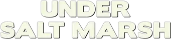 Under Salt Marsh - Logo
