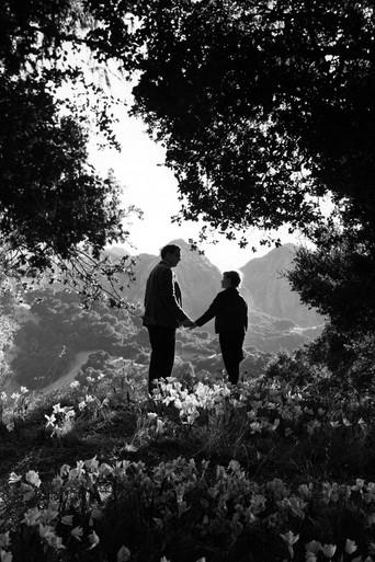 ¡Qué verde era mi valle! - Poster