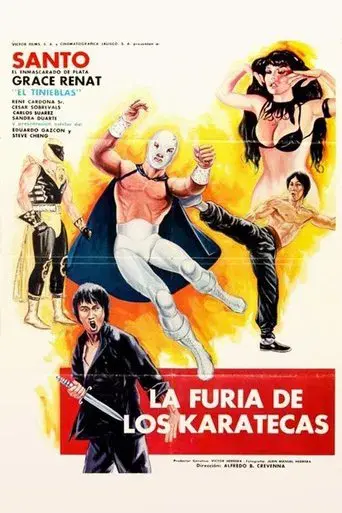 La furia de los karatecas - Poster