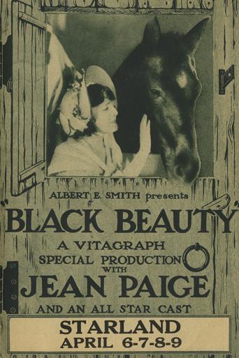 Black Beauty - Poster