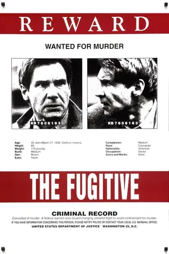El fugitivo - Poster