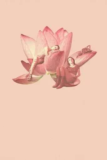 Nunca, casi nunca, a veces, siempre - Poster