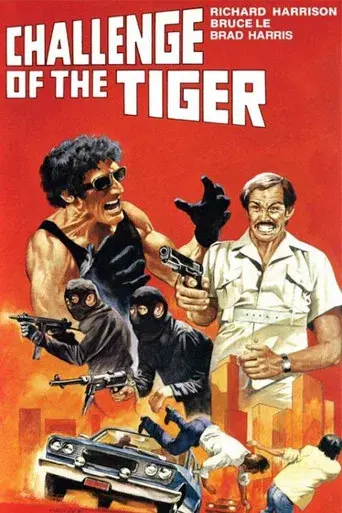 Duelo del Dragón y el Tigre - Poster