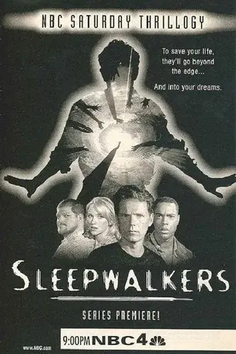 El proyecto - Poster