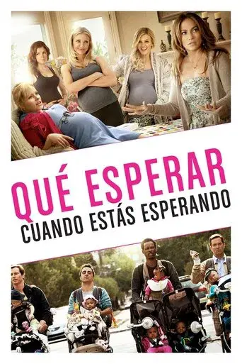 Qué esperar cuando estás esperando - Poster