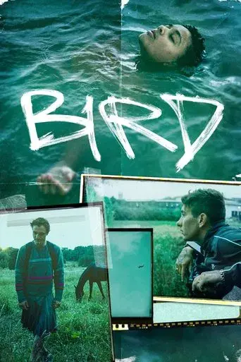 Bird - Poster