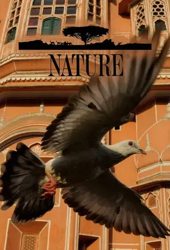 Nature - Poster