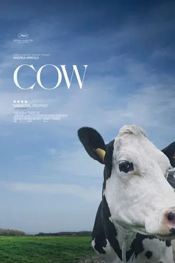 Vaca - Poster