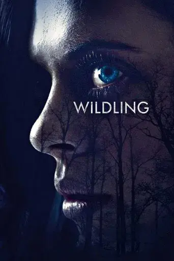 Criaturas nocturnas poster