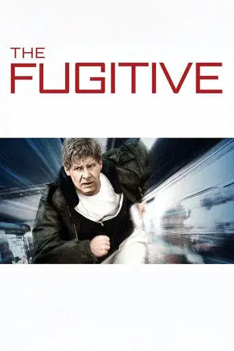 El fugitivo - Poster