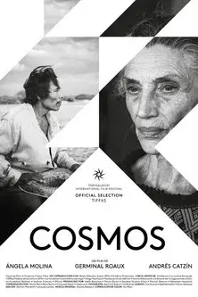 Cosmos - Poster
