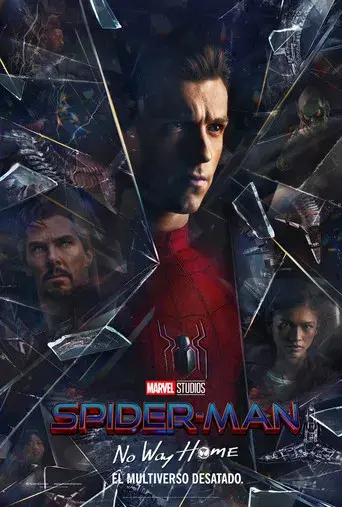 Spider-Man: No Way Home - Poster
