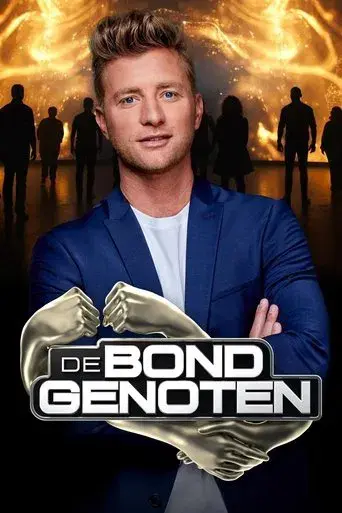 De Bondgenoten - Poster