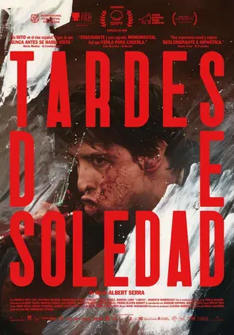 Tardes de soledad - Poster