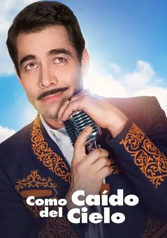 Como caído del cielo - Poster