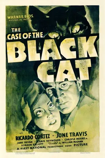 El caso del Gato Negro - Poster