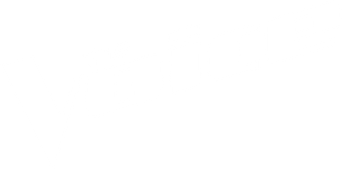 The Voice - Logo
