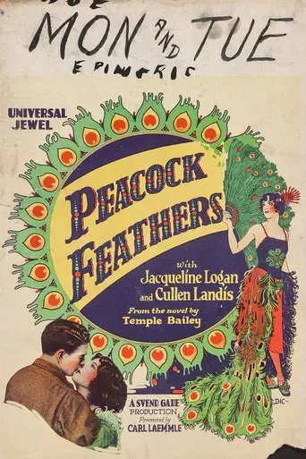 Peacock Feathers - Poster