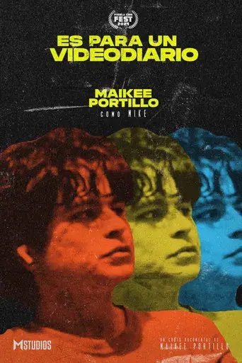 Es Para Un Videodiario - Poster