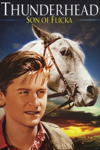 Thunderhead: Son of Flicka - Poster